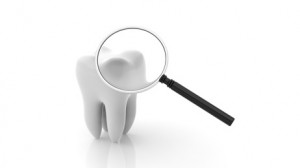Molar with magnifying glass isolated on white background